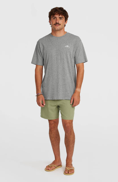 O'Neill Small Logo T-Shirt Men Silver Melee