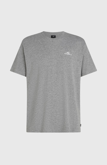 O'Neill Small Logo T-Shirt Men Silver Melee