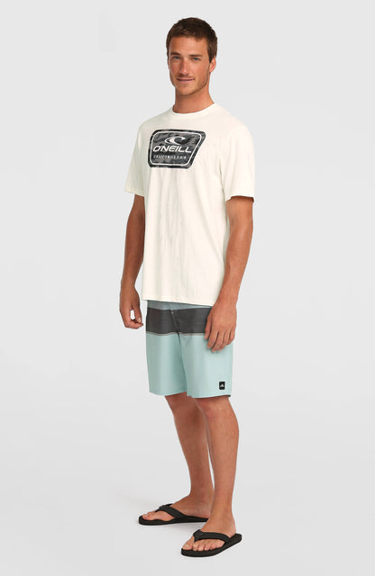 O'Neill Graphic T-Shirt Men Snow White 2