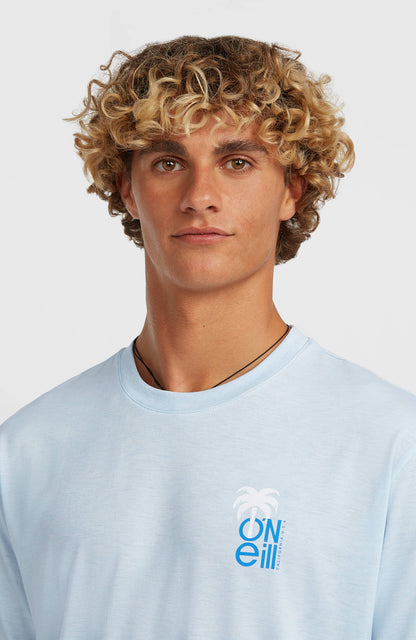 O'Neill Hybrid Polygiene Graphic T-Shirt Men Spindle