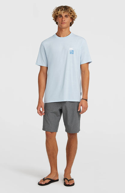 O'Neill Hybrid Polygiene Graphic T-Shirt Men Spindle