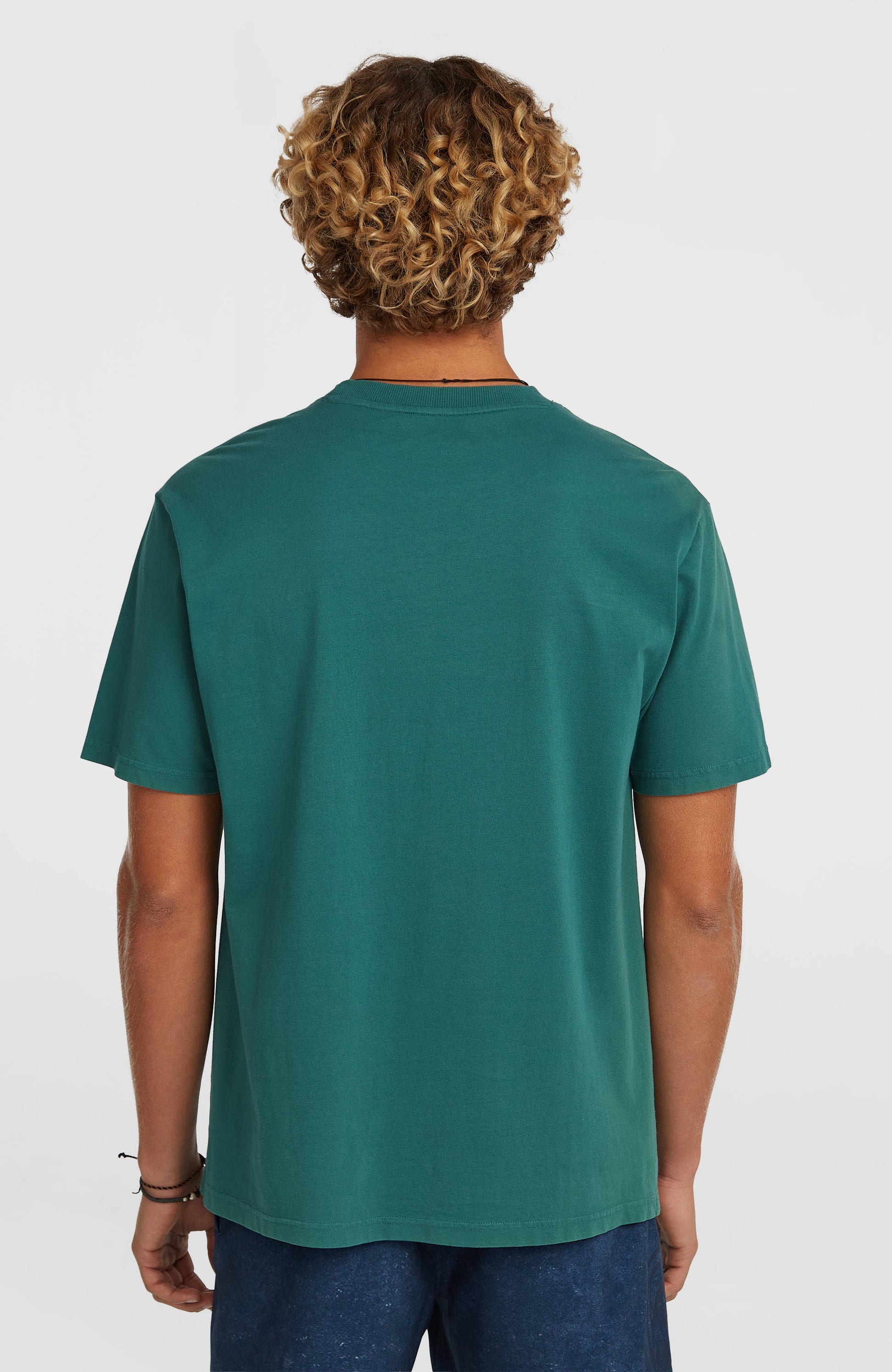 O'Riginals Front-Stripe T-Shirt Men Botanical Heat