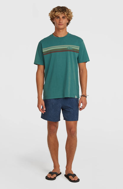 O'Riginals Front-Stripe T-Shirt Men Botanical Heat