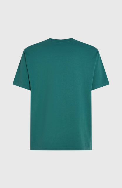 O'Riginals Front-Stripe T-Shirt Men Botanical Heat