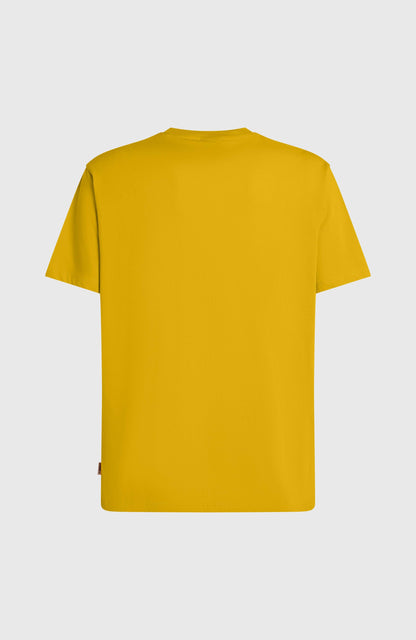Original Cali T-Shirt Men Angel Fern