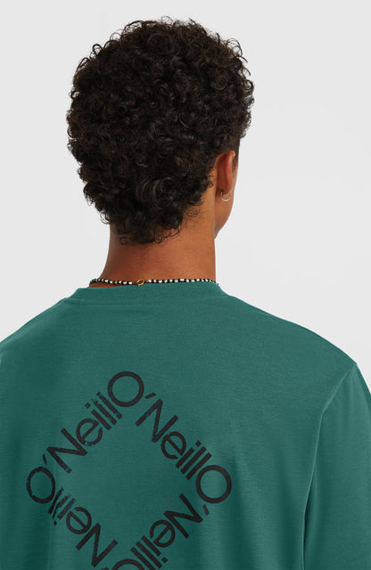 O'Neill Hybrid Polygiene Back-Print T-Shirt Men Botanical Heat