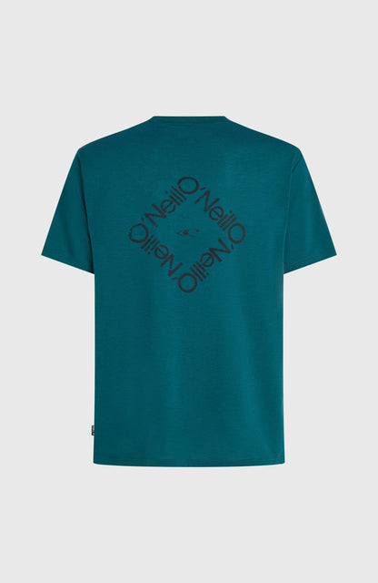 O'Neill Hybrid Polygiene Back-Print T-Shirt Men Botanical Heat
