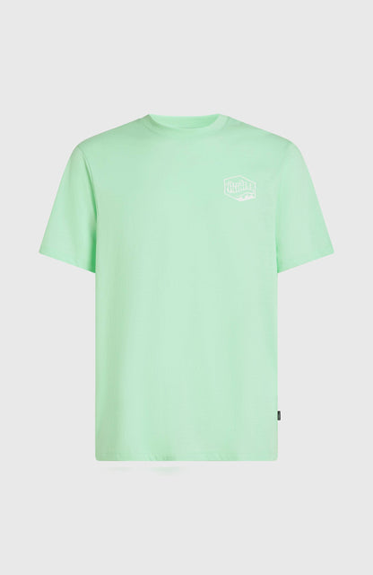 Box Logo T-Shirt Men Mildrew Mint
