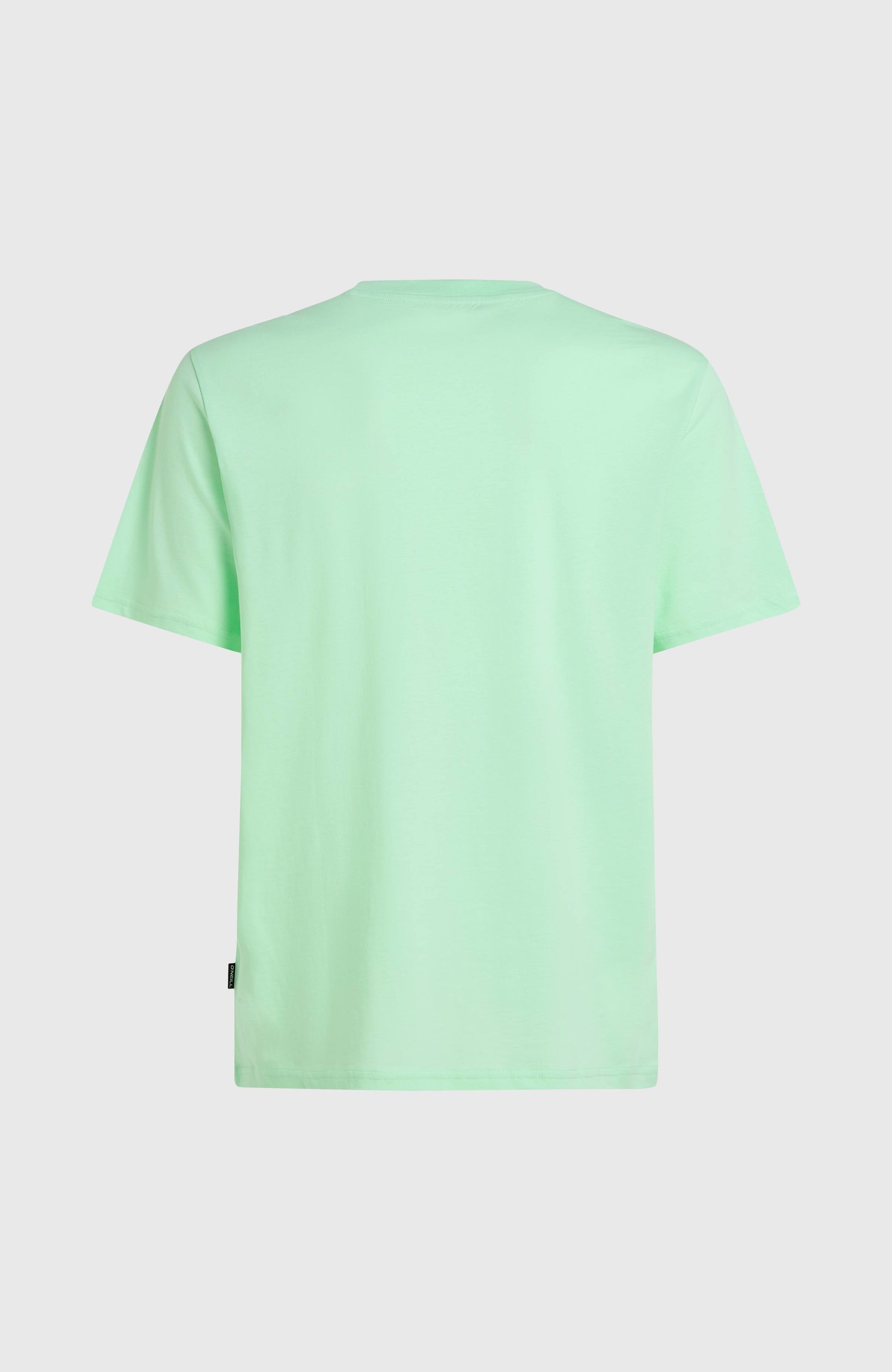 Jack O'Neill Muir T-Shirt Men Mildrew Mint