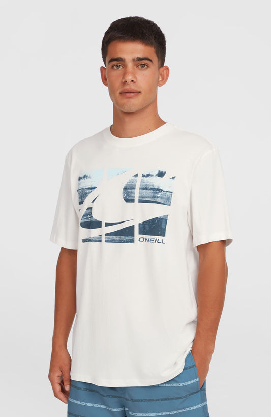 Gradient T-Shirt Men Snow White 2