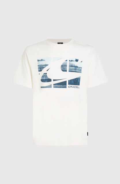 Gradient T-Shirt Men Snow White 2