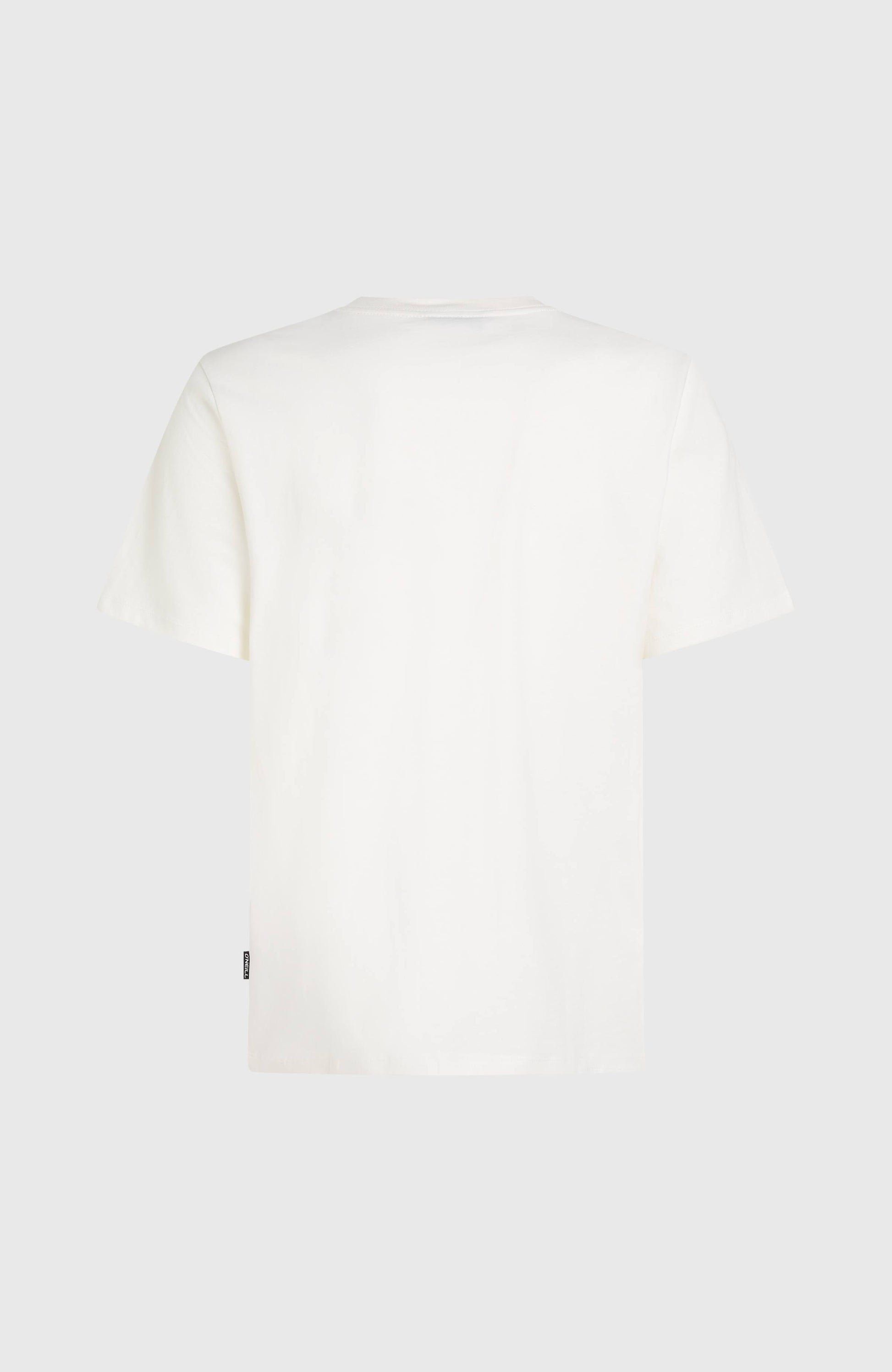 Gradient T-Shirt Men Snow White 2