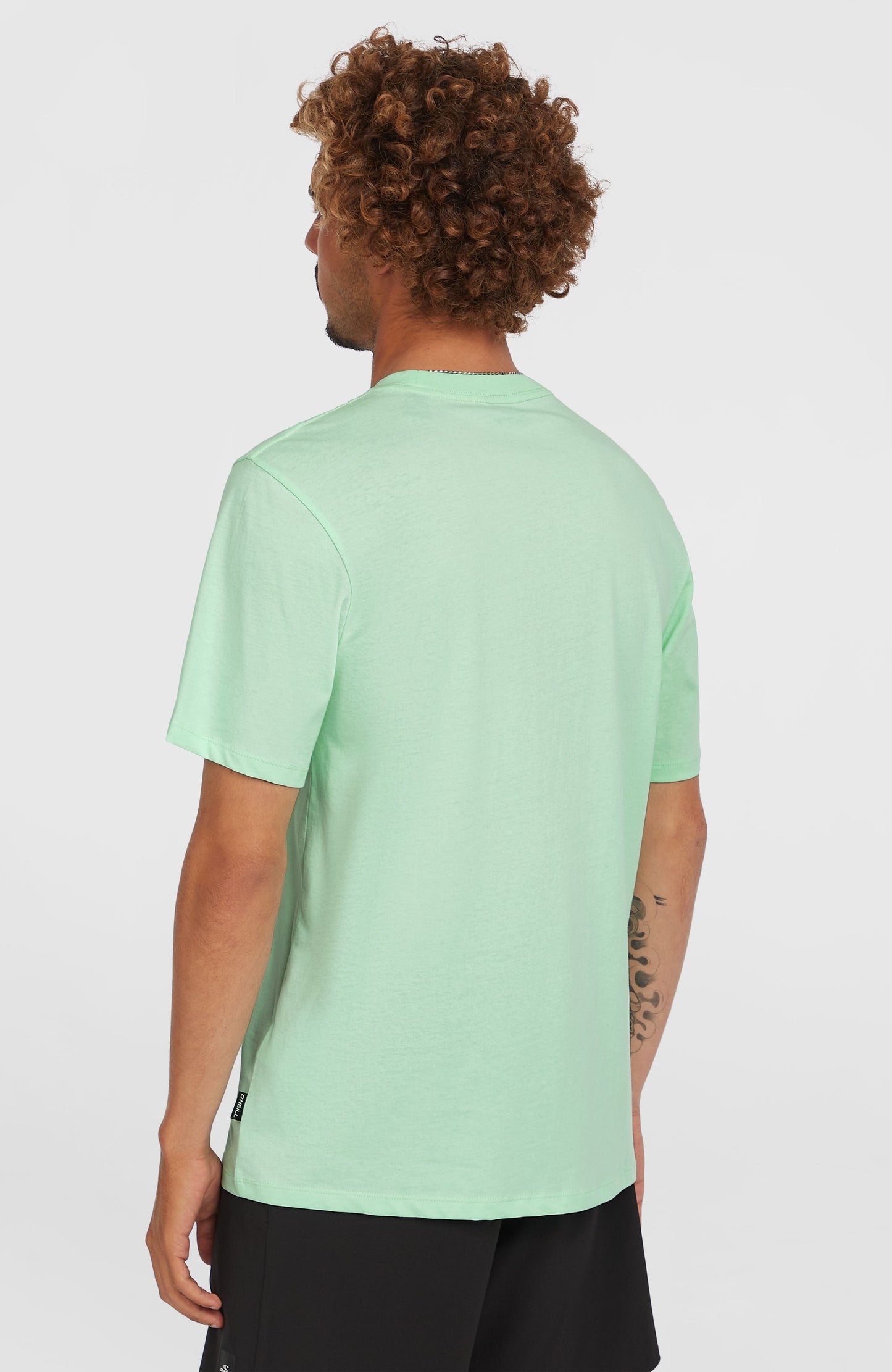 Stripe T-Shirt Men Mildrew Mint