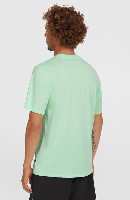 Stripe T-Shirt Men Mildrew Mint