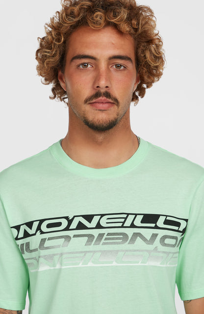 Stripe T-Shirt Men Mildrew Mint
