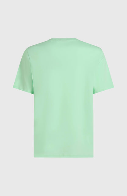 Stripe T-Shirt Men Mildrew Mint