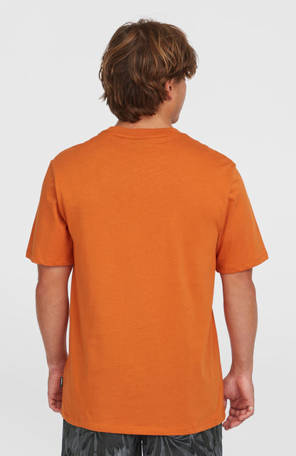 Front Print T-Shirt Men Cinnamon Stick
