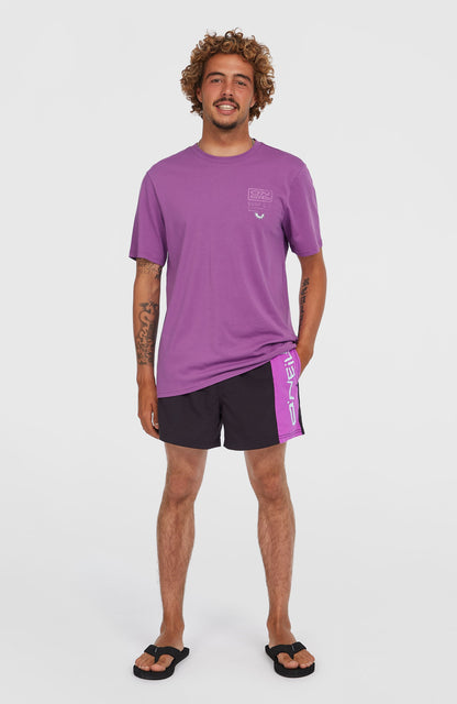 Retro Graphic T-Shirt Men Sweet Grape