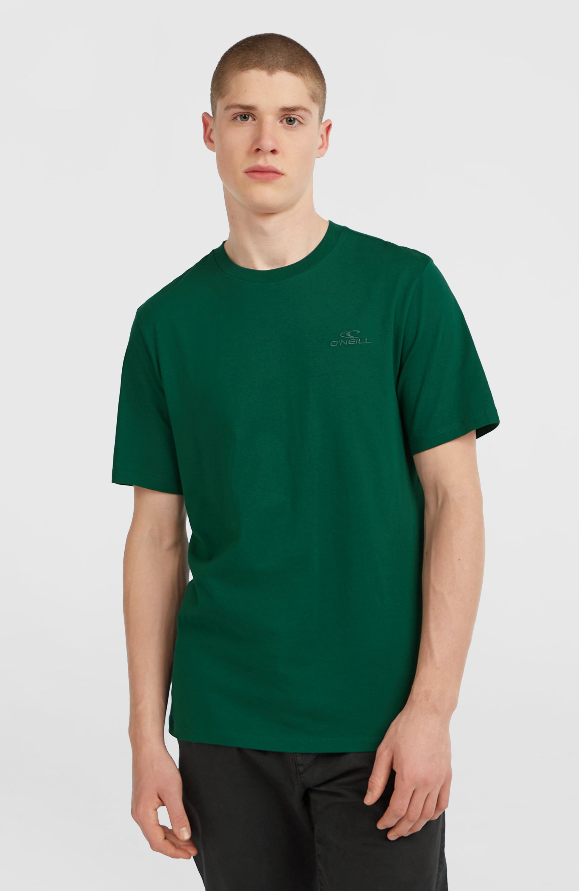 Small Logo T-Shirt Men Emerald Envy