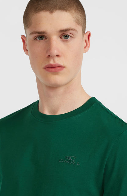 Small Logo T-Shirt Men Emerald Envy