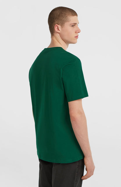 Small Logo T-Shirt Men Emerald Envy