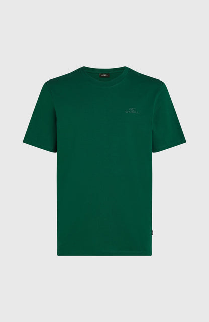 Small Logo T-Shirt Men Emerald Envy