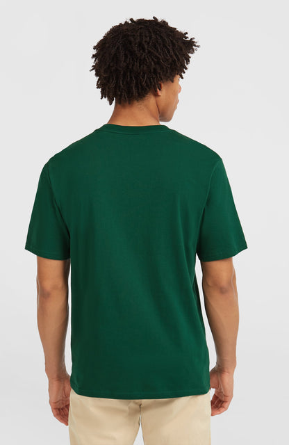 Muir T-Shirt Men Emerald Envy