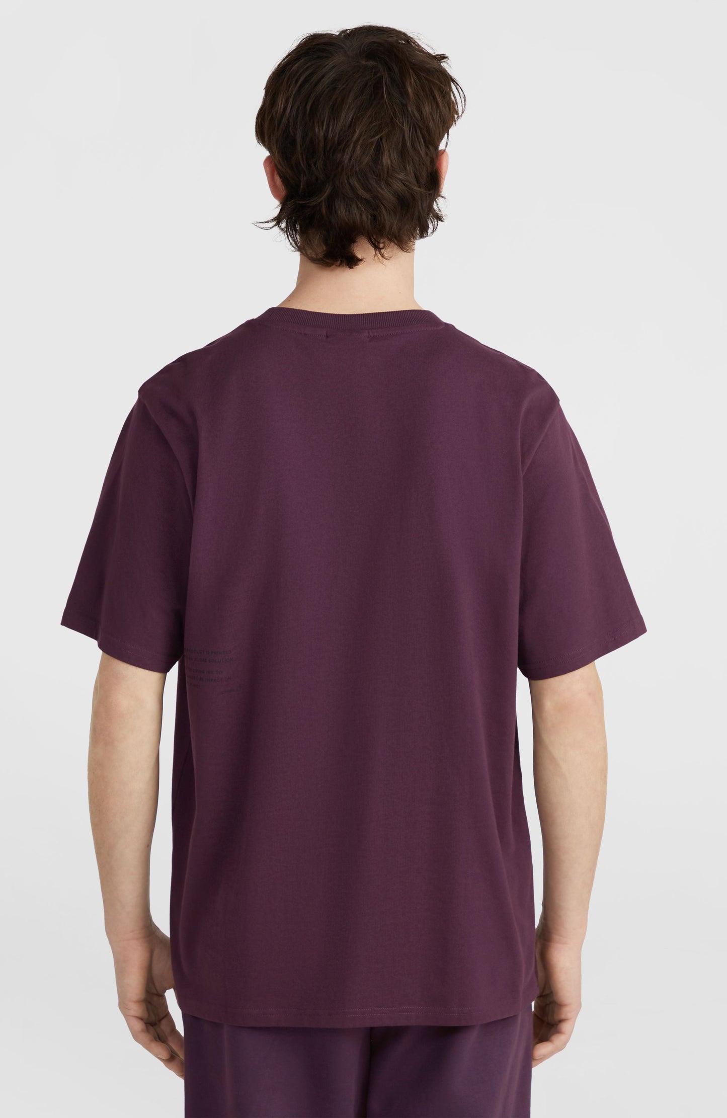 Future Surf Society T-Shirt Men Aubergine