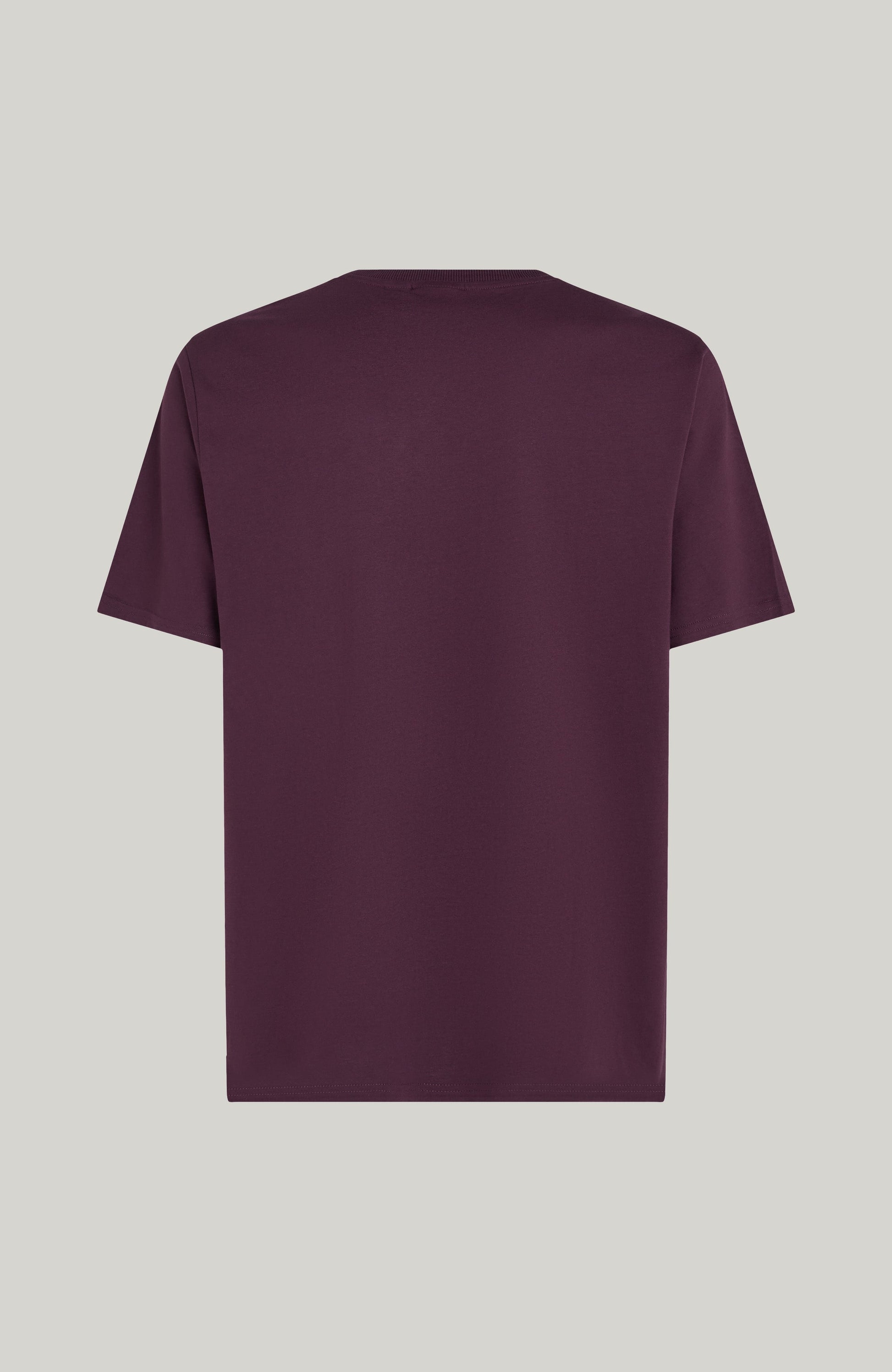 Future Surf Society T-Shirt Men Aubergine