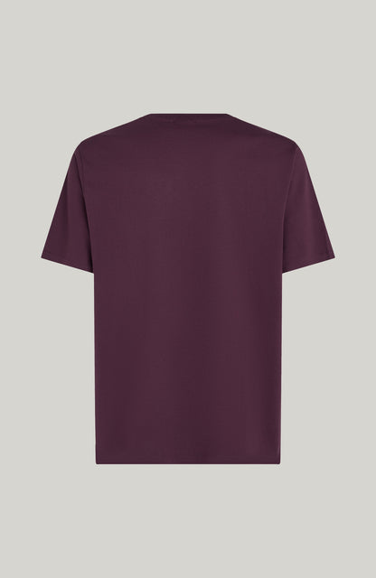 Future Surf Society T-Shirt Men Aubergine
