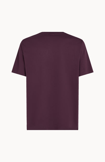 Future Surf Society T-Shirt Men Aubergine