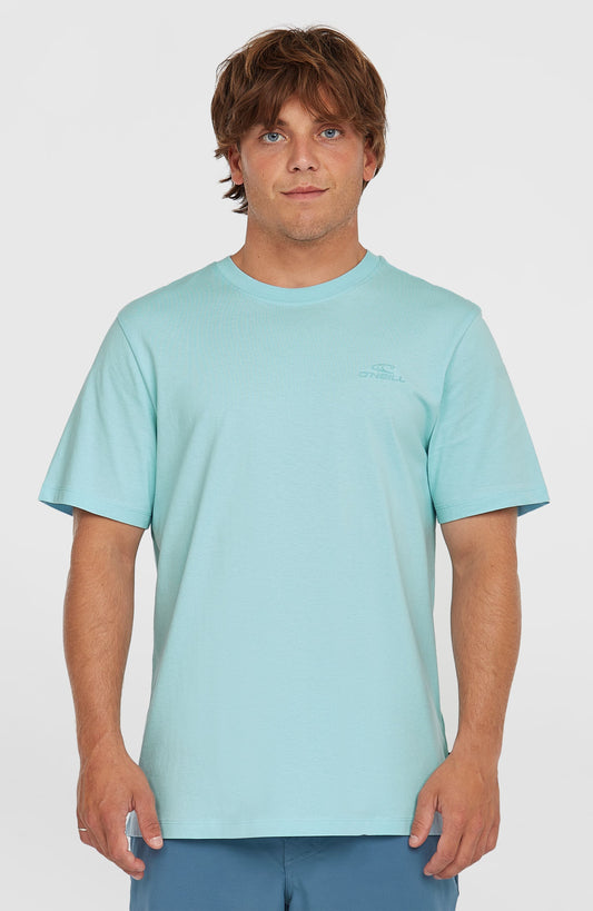 Small Logo T-Shirt Men Morning Glory
