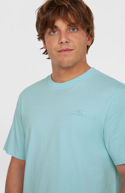 Small Logo T-Shirt Men Morning Glory