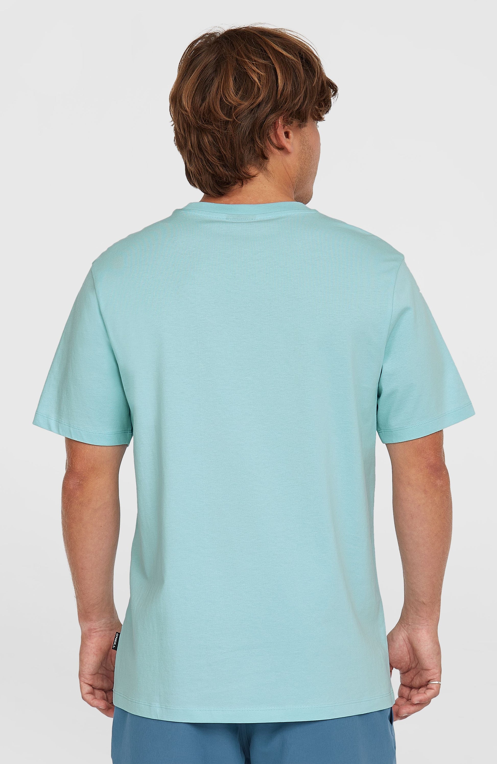 Small Logo T-Shirt Men Morning Glory