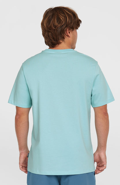 Small Logo T-Shirt Men Morning Glory