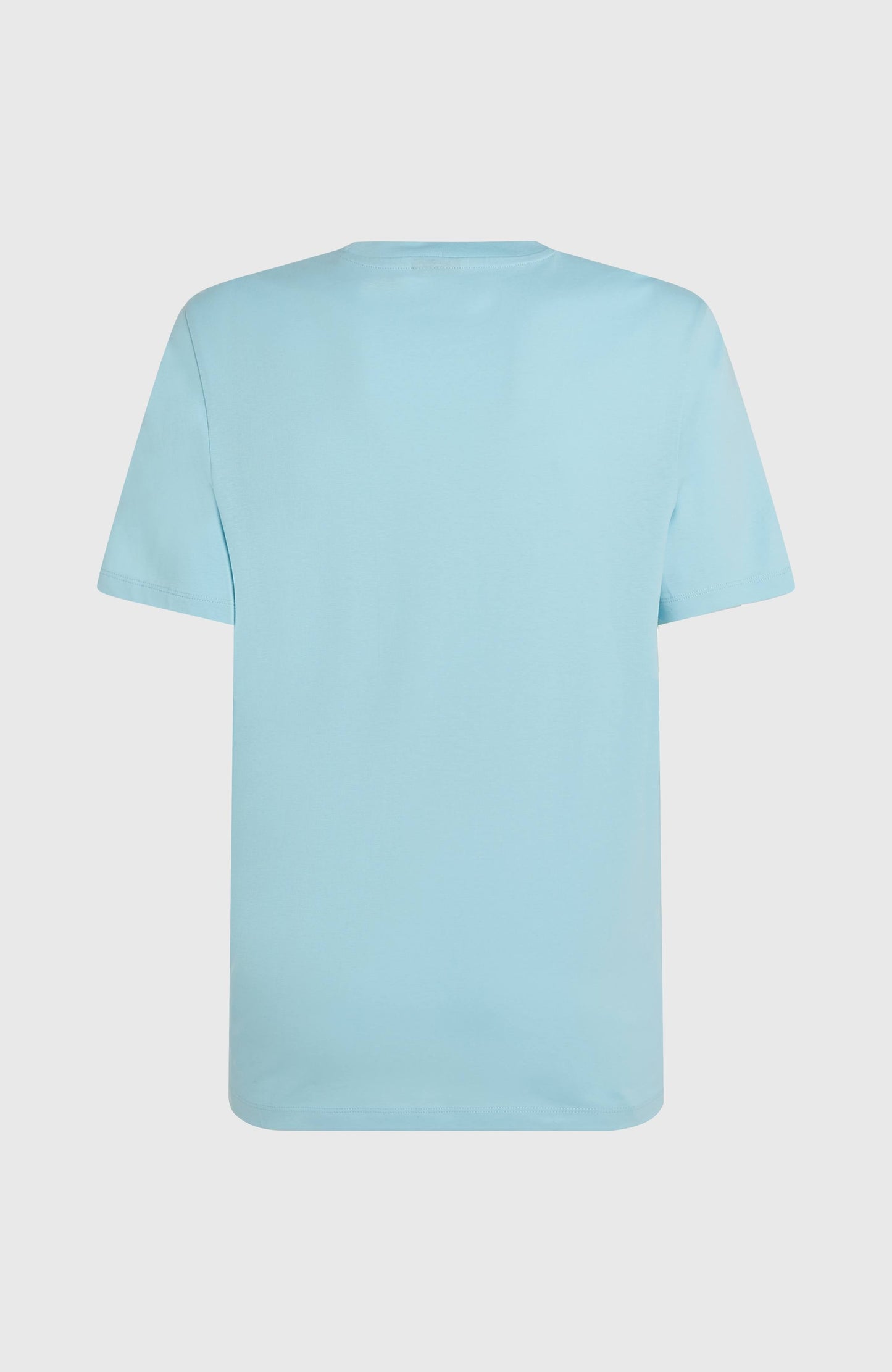 Small Logo T-Shirt Men Morning Glory