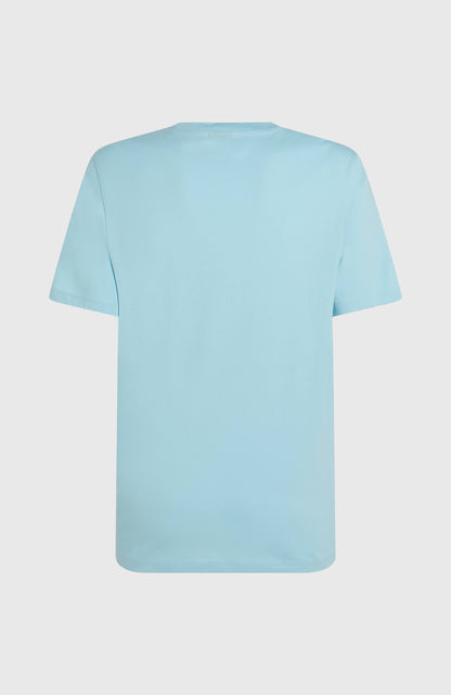 Small Logo T-Shirt Men Morning Glory