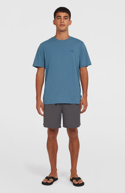 Small Logo T-Shirt Men Copen Blue