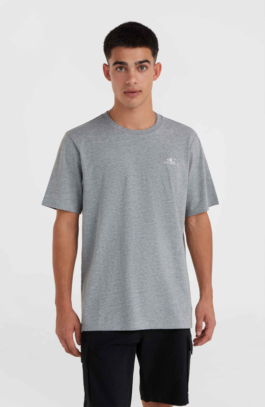 O'Neill Small Logo T-Shirt Men Silver Melee