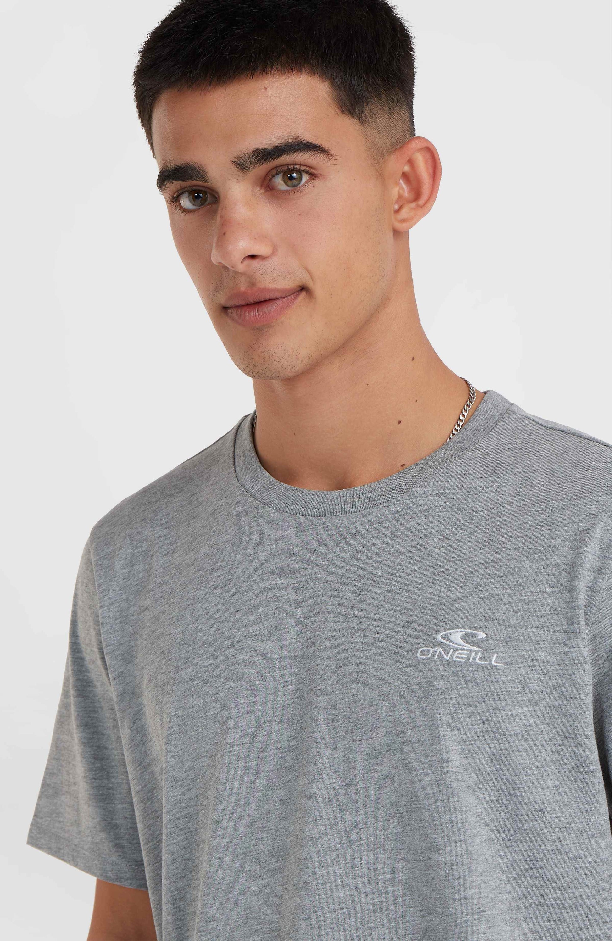O'Neill Small Logo T-Shirt Men Silver Melee