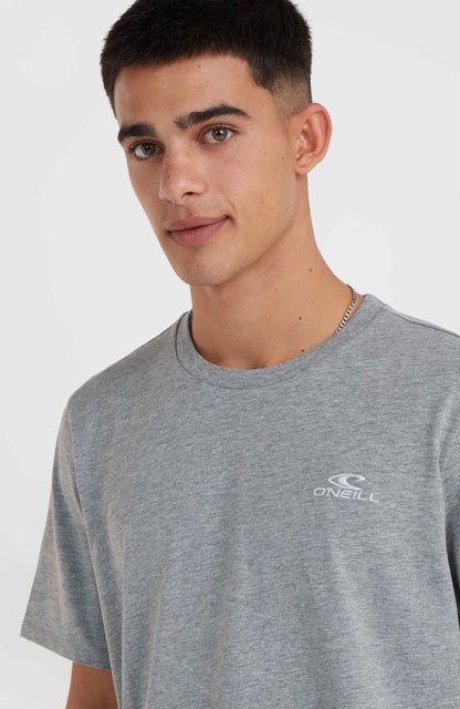 O'Neill Small Logo T-Shirt Men Silver Melee