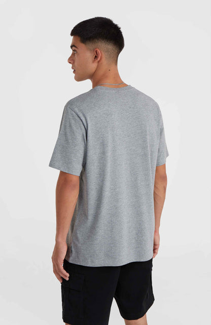 O'Neill Small Logo T-Shirt Men Silver Melee