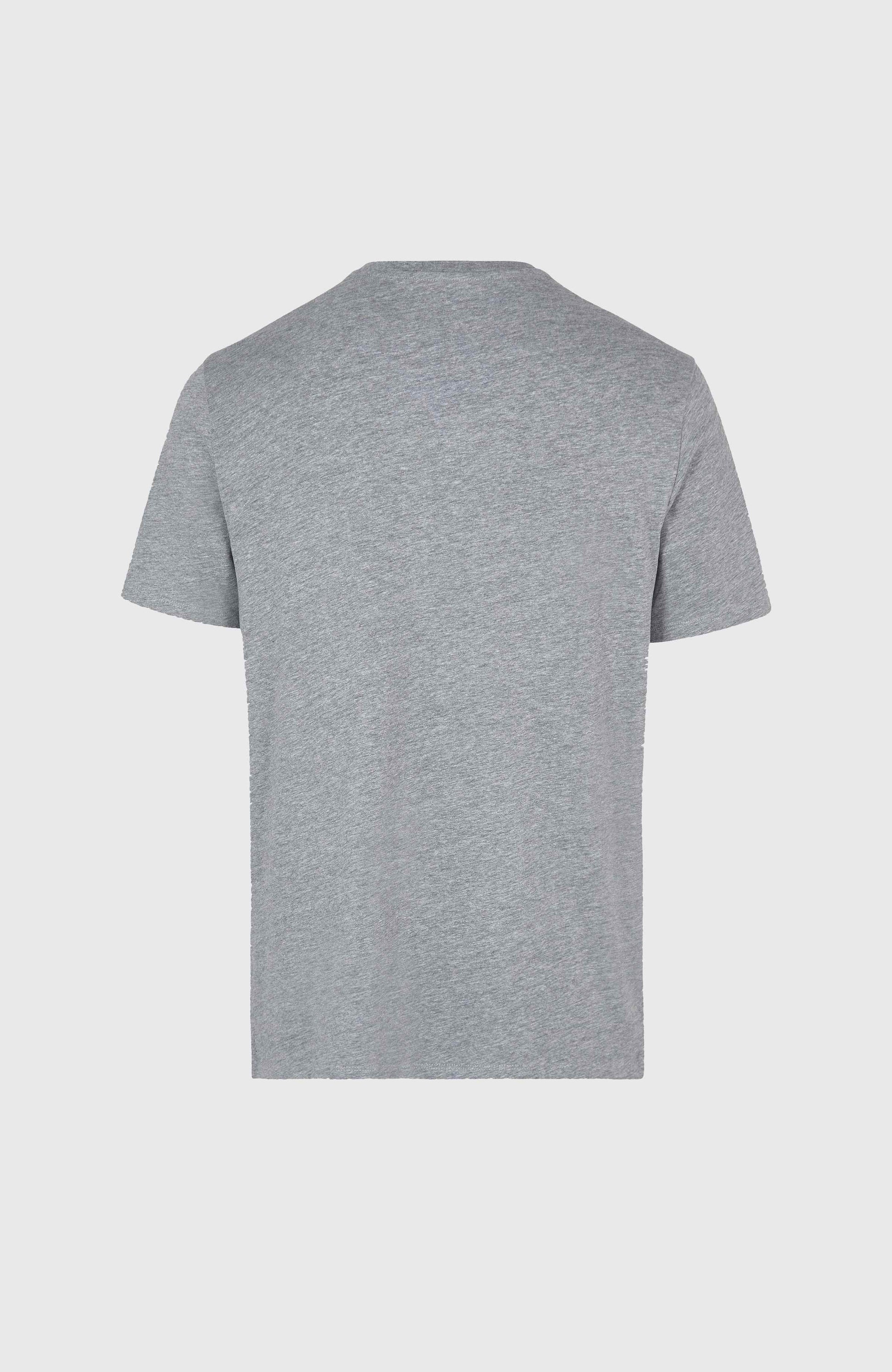 O'Neill Small Logo T-Shirt Men Silver Melee