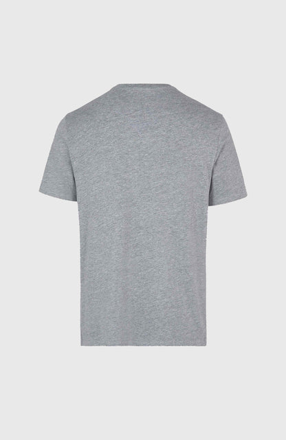 O'Neill Small Logo T-Shirt Men Silver Melee