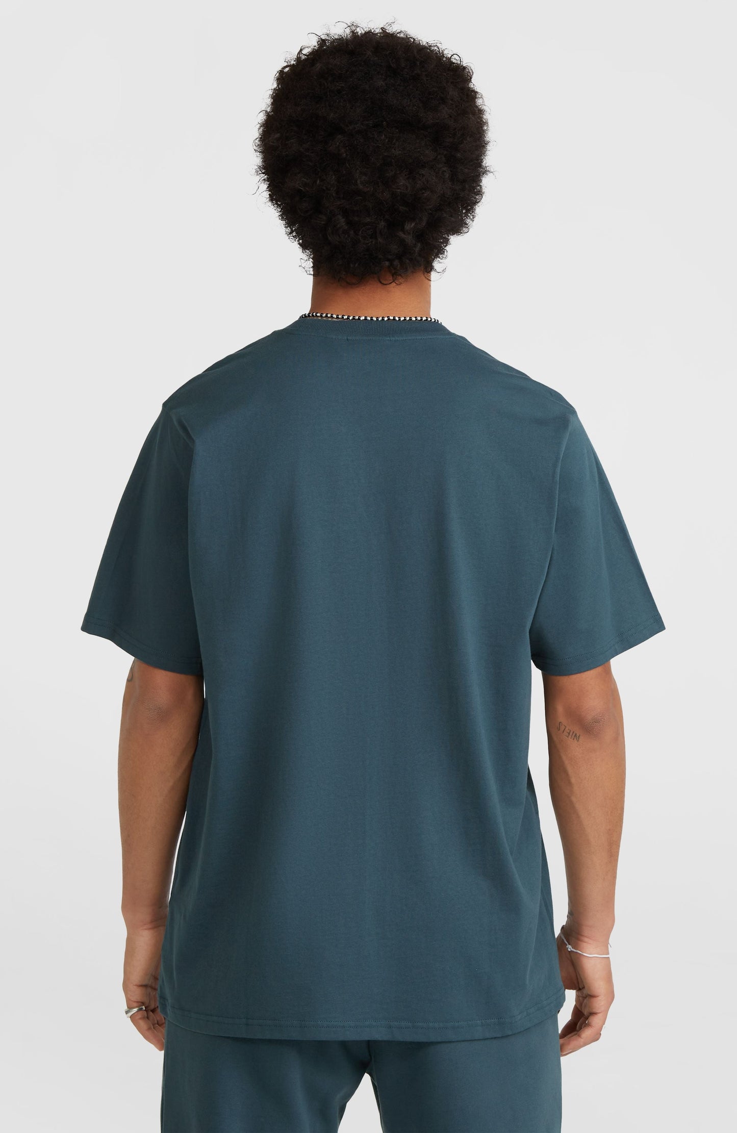 Future Surf Society T-Shirt Men Alma Steel