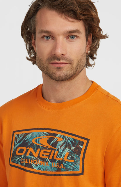 Graphic T-Shirt Men Mango Punch