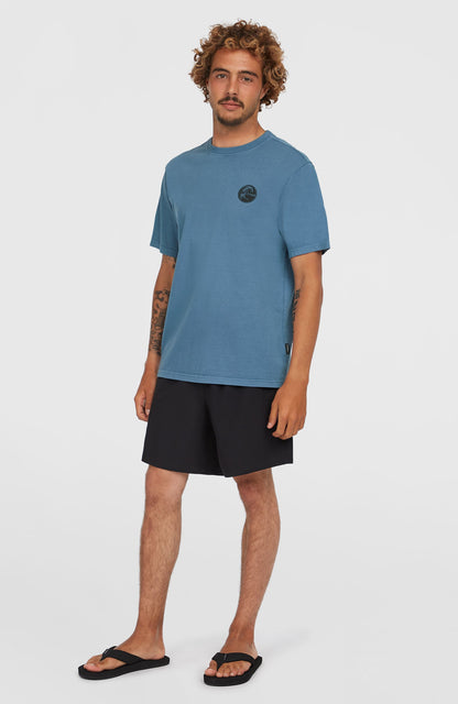 O'Riginals 70s Graphic T-Shirt Men Copen Blue