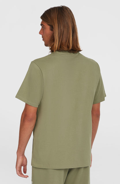 Future Surf Society T-Shirt Men Avery Fern