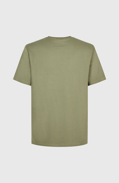 Future Surf Society T-Shirt Men Avery Fern