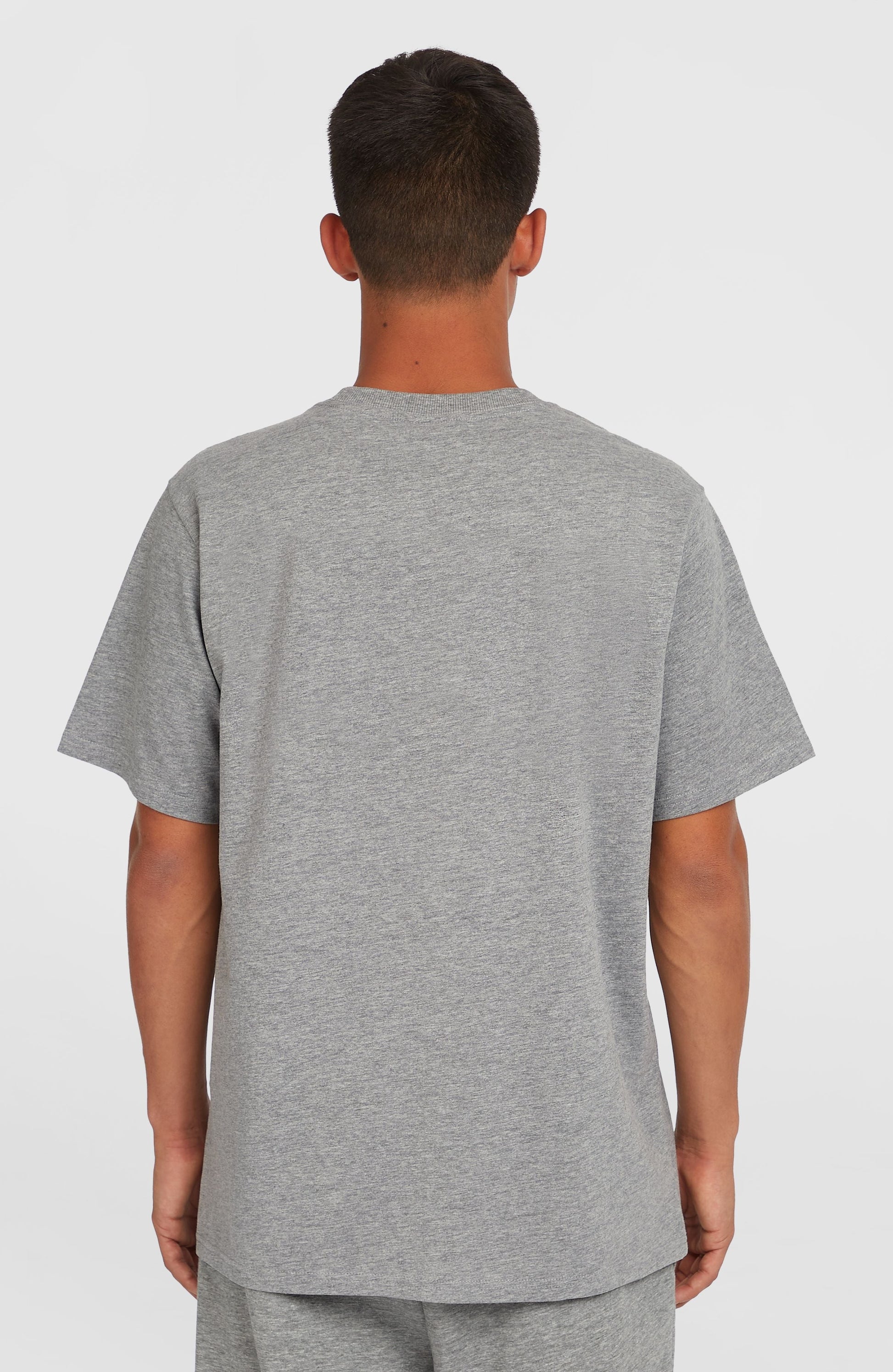 Future Surf Society T-Shirt Men Silver Melee